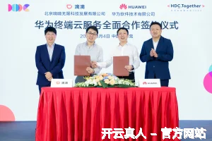 开云真人